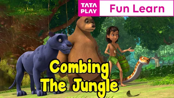 Combing the Jungle