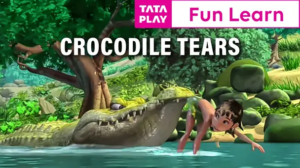 Crocodile Tears