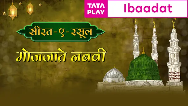 Maujezat E Nabvi