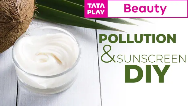 Pollution & Sunscre
