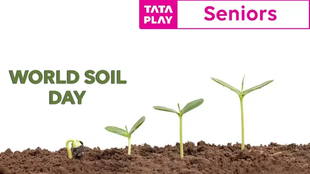 World Soil Day - 2