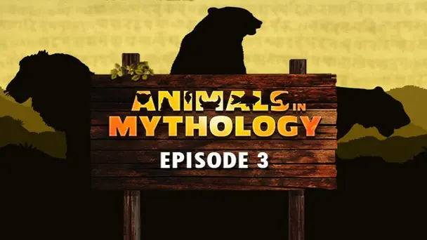 E3 Tiger, Lion, Bear