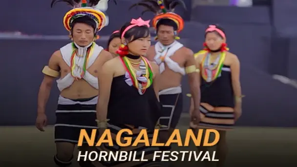 Nagaland - The Hornbill Festival