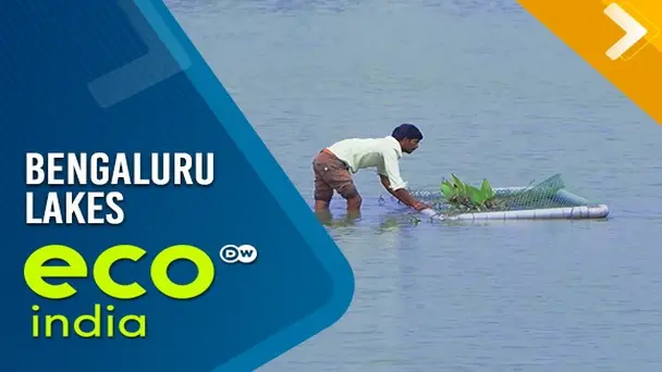 Bengaluru lakes