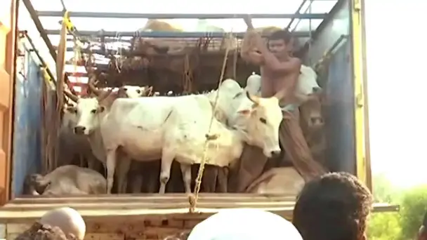 Rahashya janaka Mrutyu