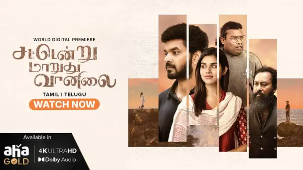 Sattendru Maarudhu Vaanilai