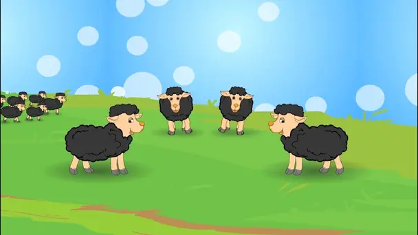 Baba Baba Black Sheep