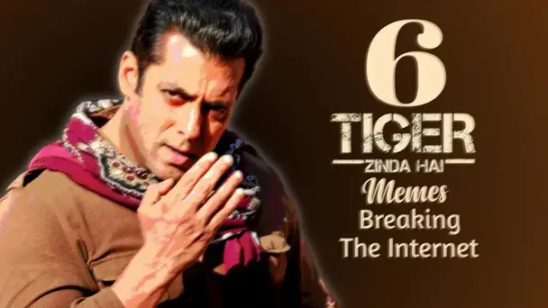Tiger Zinda Hai Memes