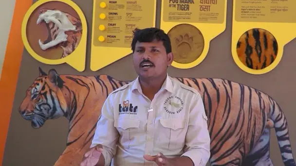 Birdman of Tadoba