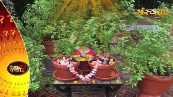 Tulsi Importance In Worship