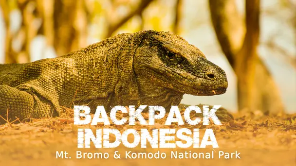 Volcanoes And Dragons In Indonesia