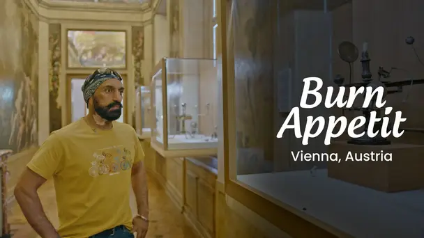 Vienna’s Charms