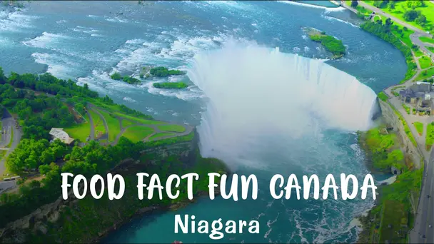 The Breathtaking Niagara Falls