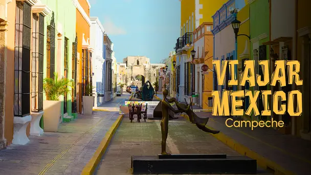 A Colony Of Dolphins