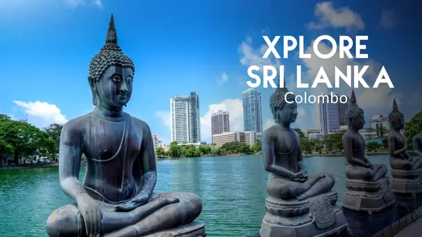 Sri Lanka’s Lion Fort