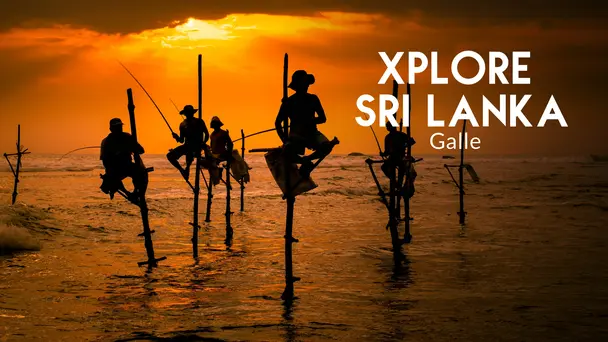 Buddhism In Sri Lanka