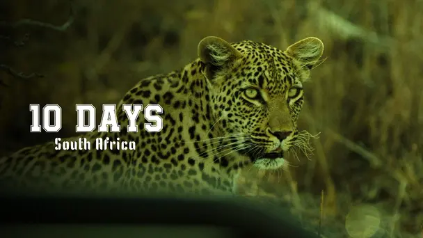 10 Days South Africa - Season1