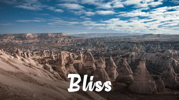Bliss