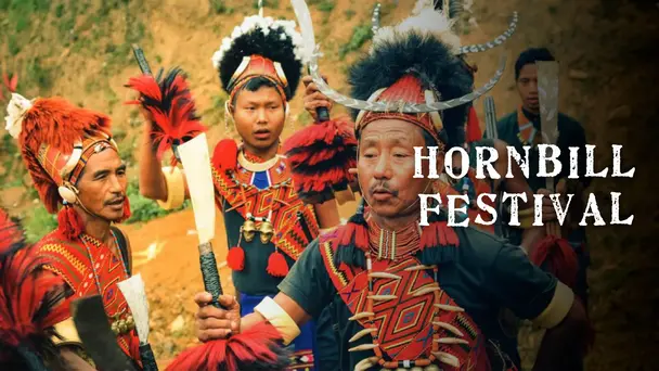 Hornbill Festival