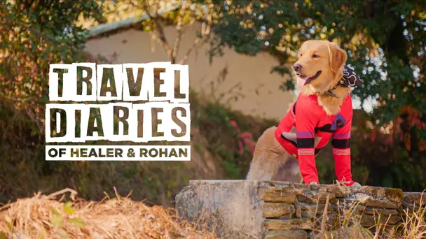 Travel Diaries Of Healer And Rohan
