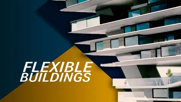 Flexible Buildings