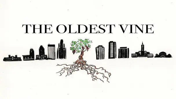 The Oldest Vine