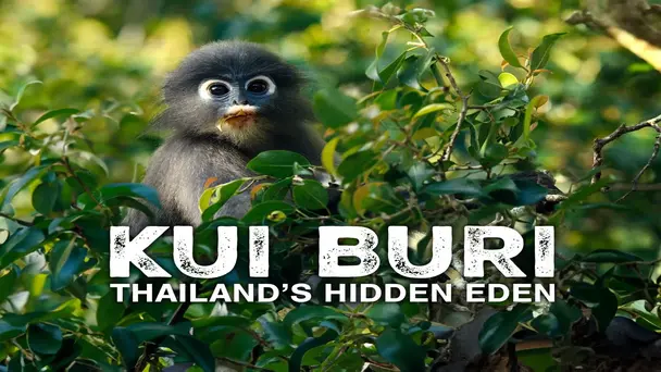 Kui Buri: Thailand's Hidden Eden