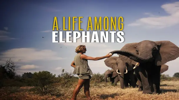A Life Among Elephants
