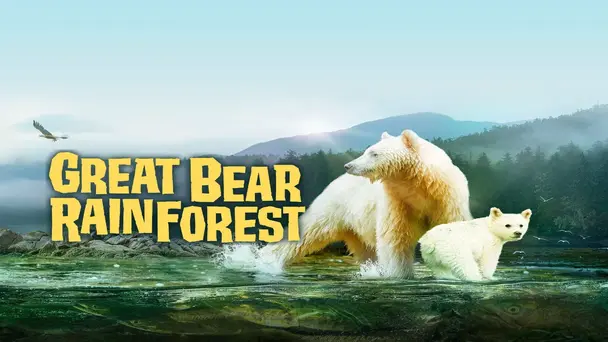 Great Bear Rainforest