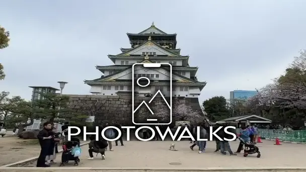 Japan: Street Food and City Lights