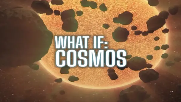 Unwanted Visitors: Black Holes, Killer Whales and Cosmic Collisions