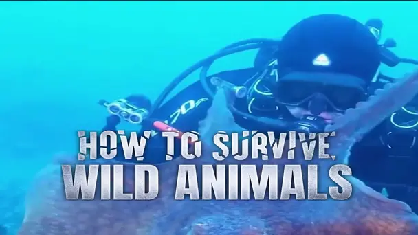 Venom, Fangs and Desert Survival