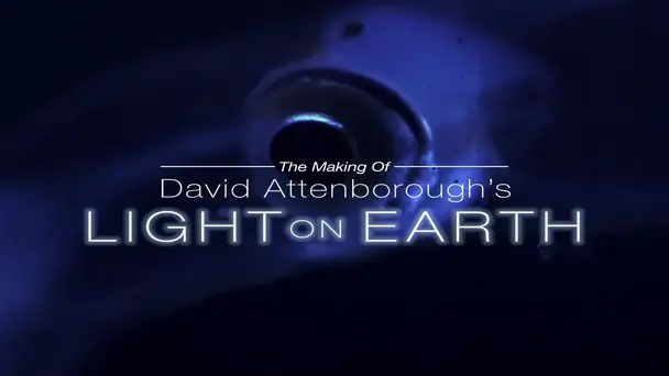 The Making Of David Attenborough's Light On Earth