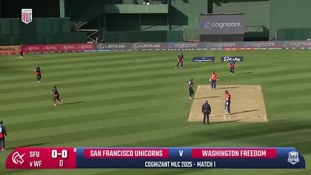 Cricket Fever Continues!