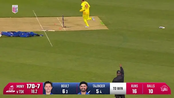 Wicket Without Willow!