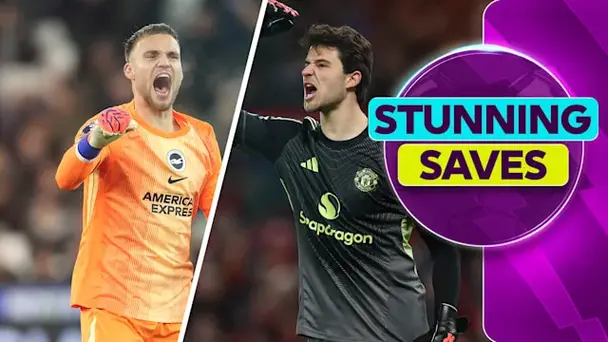 Best Saves of MW 19 ft. Verbruggen, Lammens