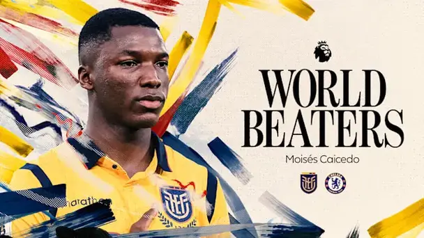 Caicedo Dream for Ultimate Glory