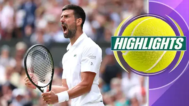 Cobolli vs Djokovic: QF Highlights
