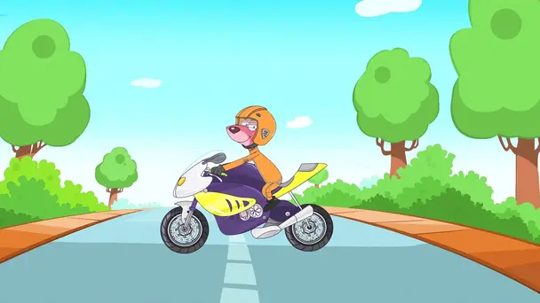 Don Ki Dhoom