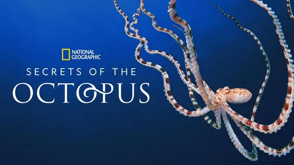 Secrets of the Octopus