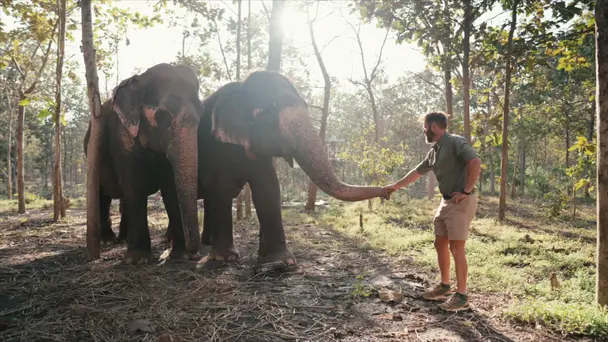 The Epic Arc of Nature