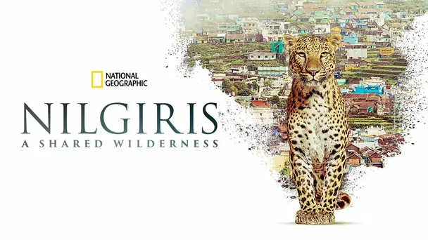 Nilgiris - A Shared Wilderness