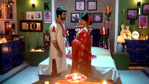 Tipu's Love for Barfi