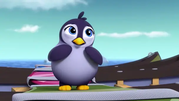 Pups save a teeny penguin