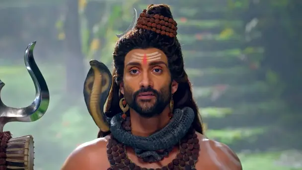 The new journey begins