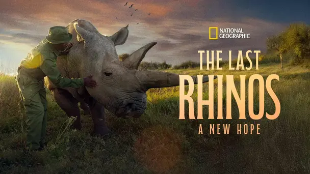 The Last Rhinos: A New Hope