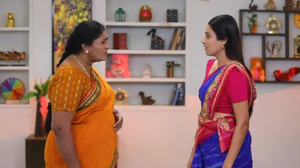 Vasanthi Lashes Out at Radhika