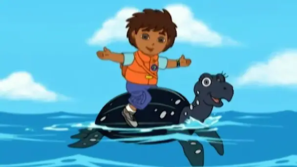 Diego saves baby humpback whale
