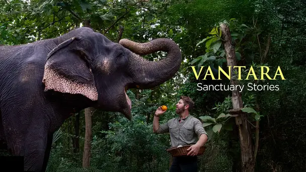 Vantara: Sanctuary Stories