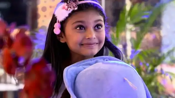 Aru searches a mother